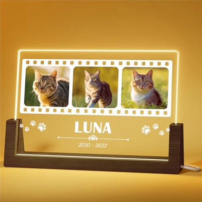 Personalisierter LED-Gedenkrahmen für Katzen
