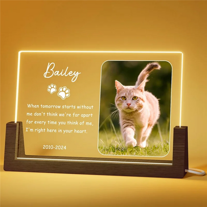 Personalisierter LED-Gedenkrahmen für Katzen
