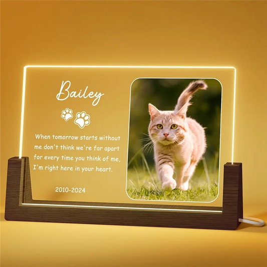 Personalisierter LED-Gedenkrahmen für Katzen